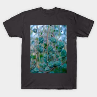 Cute succulent T-Shirt